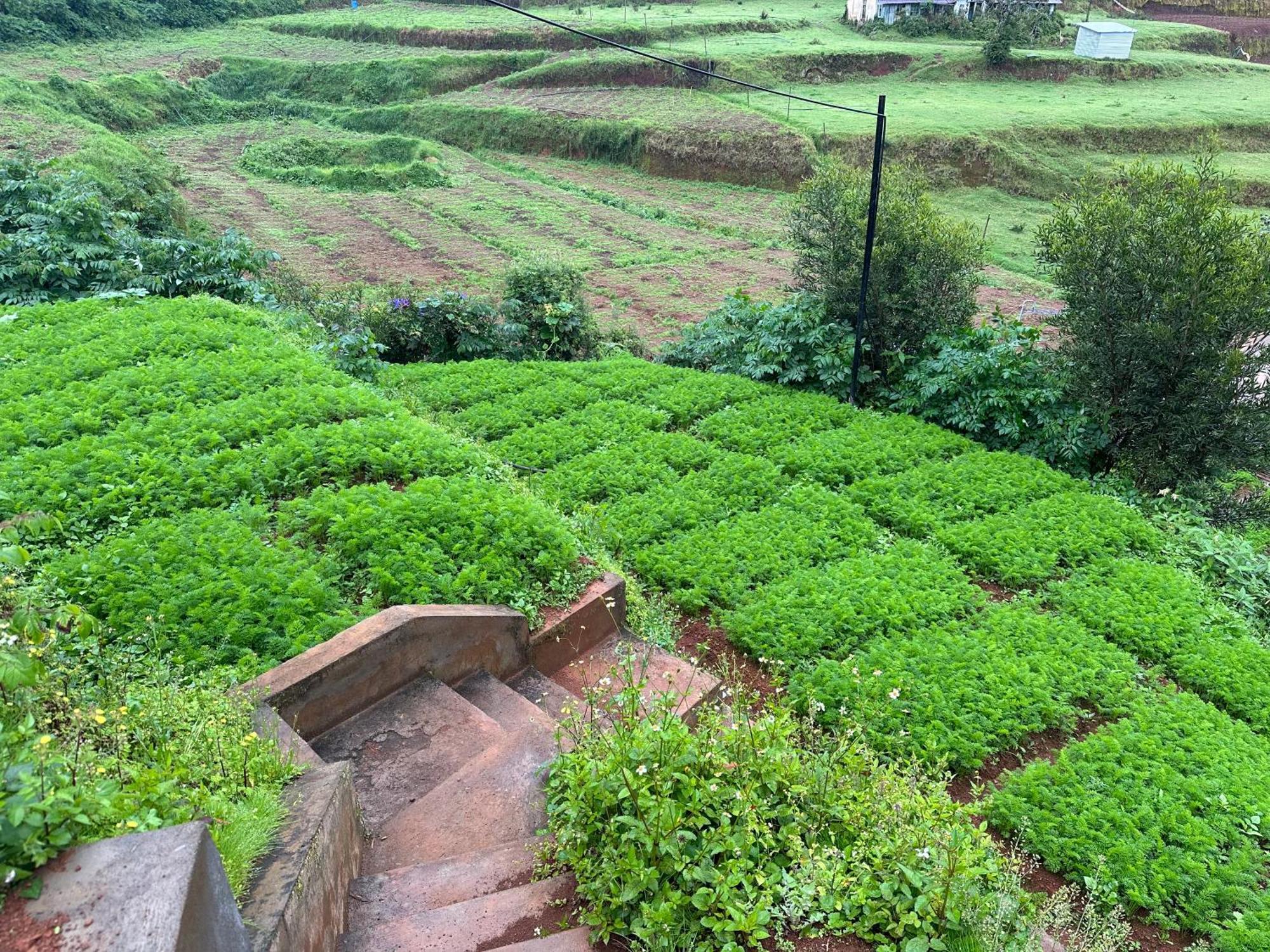 Kanjira House Ooty Exterior foto